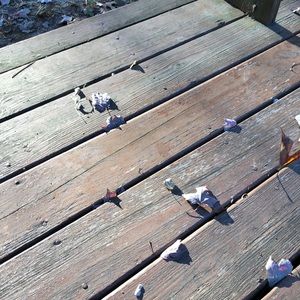 Meet your Posher, Robin